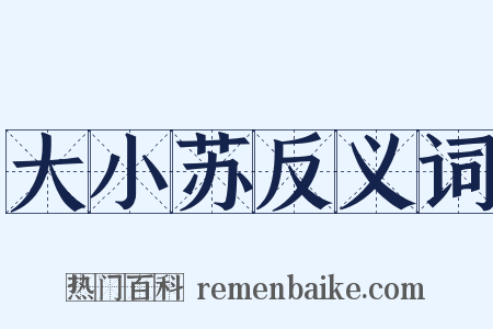 大小苏反义词是什么意思的图片